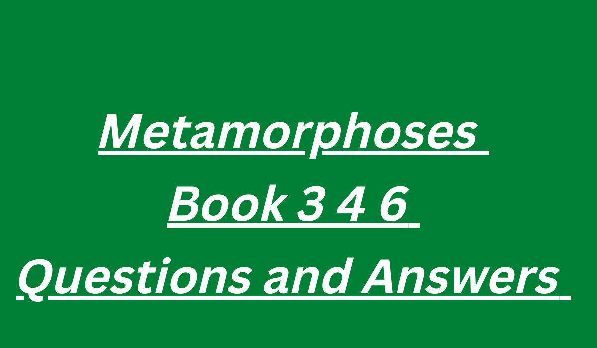 Metamorphoses Book 3 4 6 Questions and Answers