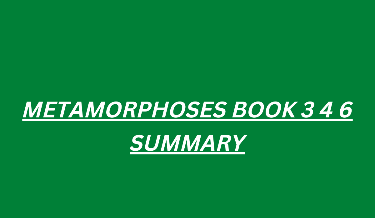 METAMORPHOSES SUMMARY BOOK 3  METAMORPHOSES SUMMARY BOOK 4  METAMORPHOSES SUMMARY BOOK 6